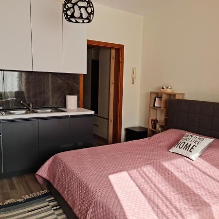 Lovely One Bedroom Studio In Тирана Екстер'єр фото