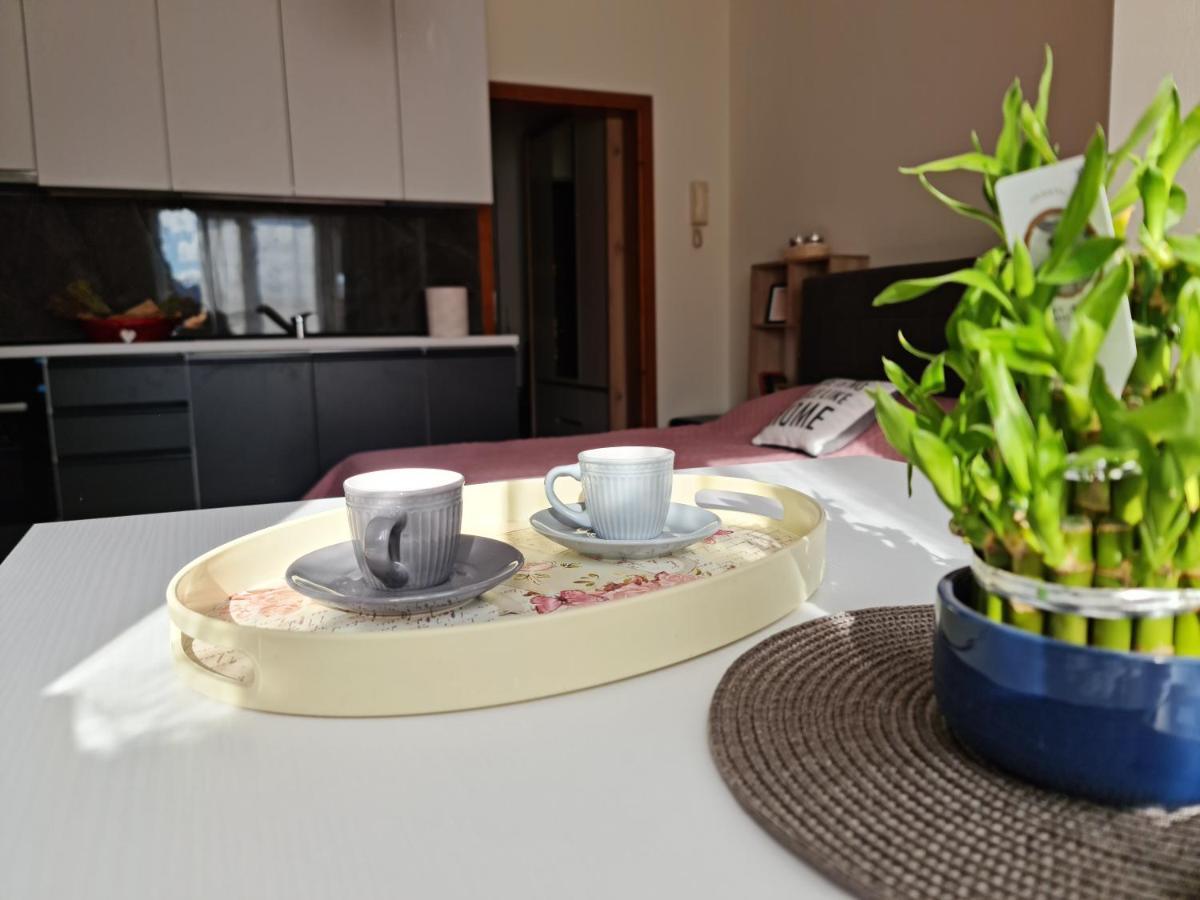 Lovely One Bedroom Studio In Тирана Екстер'єр фото